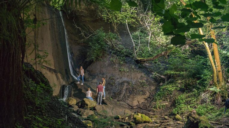 Eine kleine Gruppe von Menschen steht in einem dichten Wald mit einem Wasserfall im Hintergrund. Die Umgebung ist grün und natürlich, umgeben von Bäumen und Felsen.