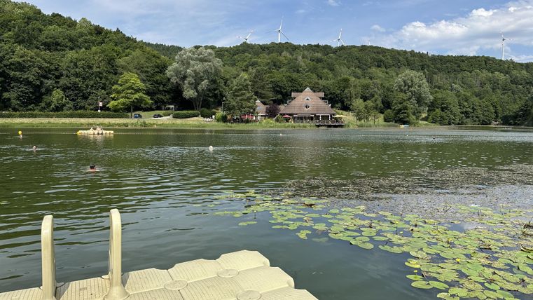 Eine Plattform mit Leiter die zur Badestelle am Waldsee Rieden gehört