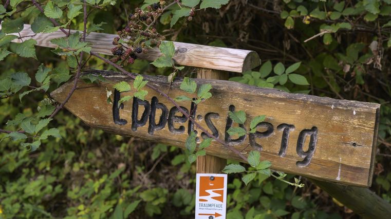 A wooden sign with the inscription "Ebbelsberg" stands in front of dense shrubbery. The sign shows the way into nature.