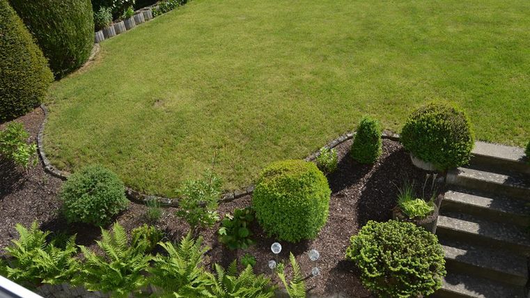 Ein gepflegter Garten mit einem großen, grünen Rasen und niedrigen Hecken. Mehrere runde Sträucher und einige Treppen führen zu einem anderen Bereich des Gartens.