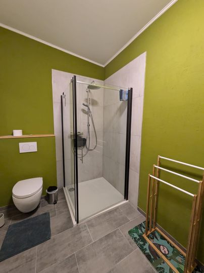 Ein modernes Badezimmer mit einer Dusche und grünen Wänden. Die Ausstattung umfasst eine Toilette und Trockenständer.