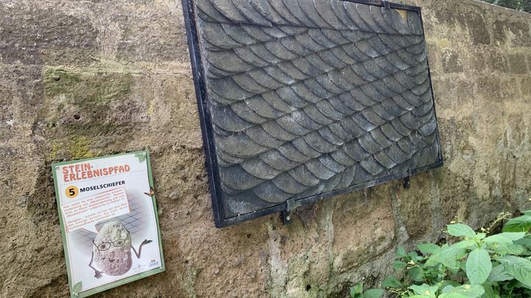 A sign with a scaly surface hangs on a wall. Next to the sign is an information card about an animal.