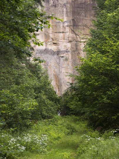 Ein schmaler Pfad führt durch üppiges Grün zu einer hohen Felswand. Die Umgebung ist friedlich und von Bäumen umgeben.