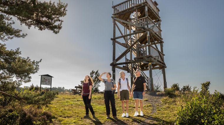 Ein Aussichtsturm in der Natur mit vier Personen, die stehen und in die Ferne schauen. Die Umgebung ist grün und sonnig.