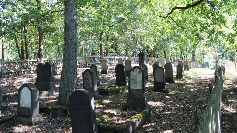 Ein verwunschener Friedhof mit alten Grabsteinen, umgeben von Bäumen. Das Licht fällt sanft durch das Laub und schafft eine ruhige Atmosphäre.