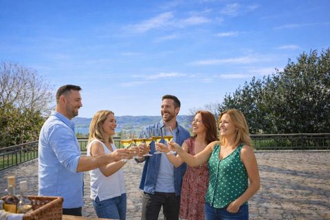 Eine Gruppe von fünf Freunden stößt mit Gläsern an. Die Szene findet an einem sonnigen Tag im Freien mit schönen Ausblicken statt.
