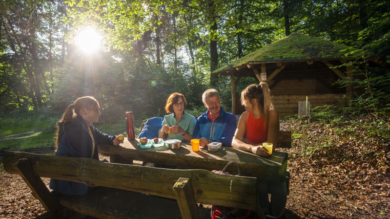 Vier Personen sitzen an einem Holztisch im Wald, nahe einer Moosdachhütte, bei Sonnenschein.