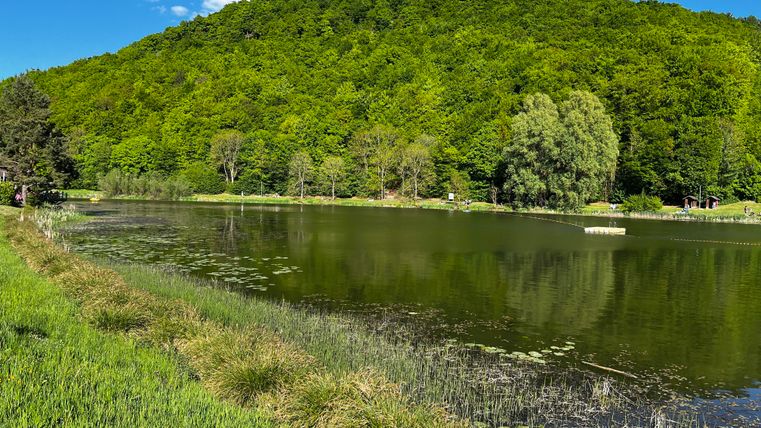 Ein ruhiger See umgeben von grünem Wald und sanften Hügeln. Der Himmel ist klar und sonnig.