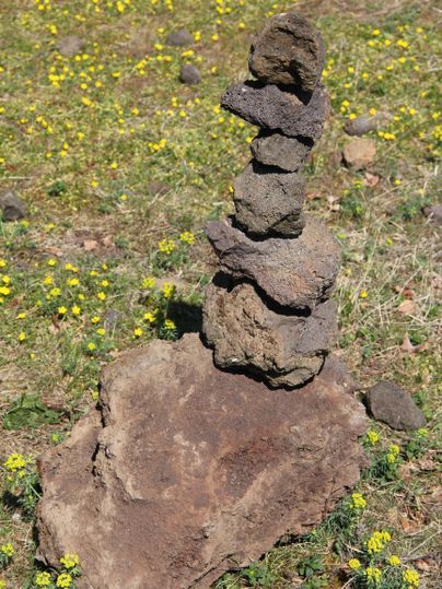 Ein Stapel von Steinen steht auf einer grünen Wiese. Rundherum sind gelbe Blumen zu sehen.