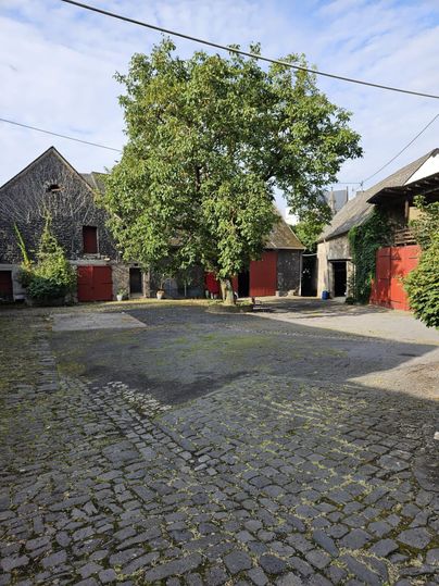 Ein Hof mit alten Gebäuden und einem großen Baum in der Mitte. Der Platz hat graue Steinplatten und einige rote Türen.