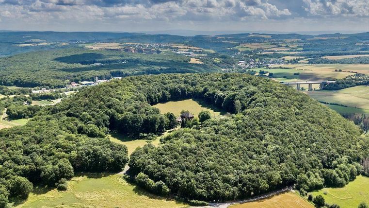 Eine große Waldfläche umgeben von Feldern und sanften Hügeln. Der Himmel ist klar mit einigen Wolken.