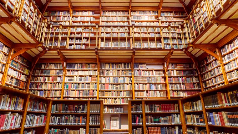 Eine beeindruckende Bibliothek mit hohen Regalen, die voll mit Büchern sind. Das helle Licht strömt durch ein großes Fenster in die Mitte des Raumes.