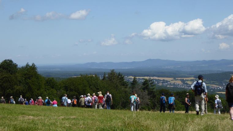 Eine Gruppe von Wanderern erkundet eine malerische Landschaft. Im Hintergrund sind Bäume und sanfte Hügel zu sehen.