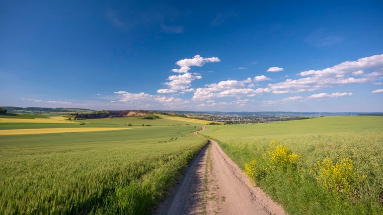 Eine malerische Landschaft mit einer Staubstraße, die durch grüne Felder führt. Der Himmel ist klar und blau, mit vereinzelten Wolken.
