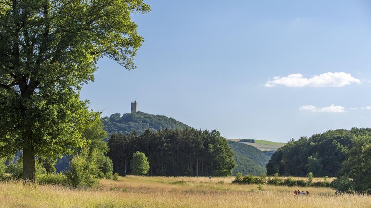 Eine weite Graslandschaft mit Bäumen und sanften Hügeln. Im Hintergrund ist ein Turm auf einem Hügel sichtbar.