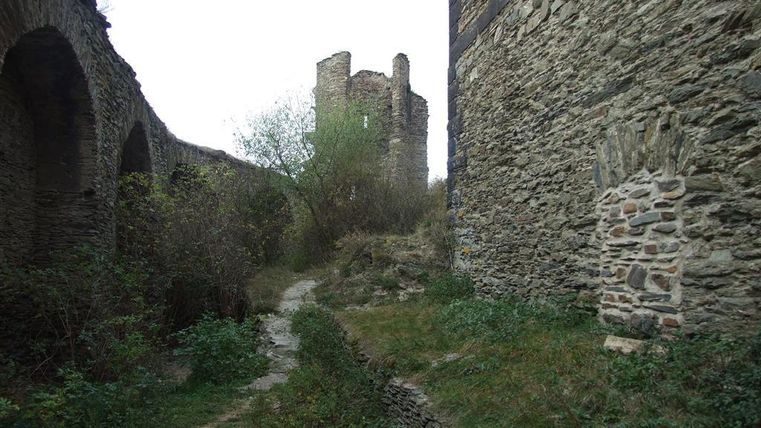 An old ruin with stone walls and a green landscape. In the background, there is a tower surrounded by plants and shrubs.