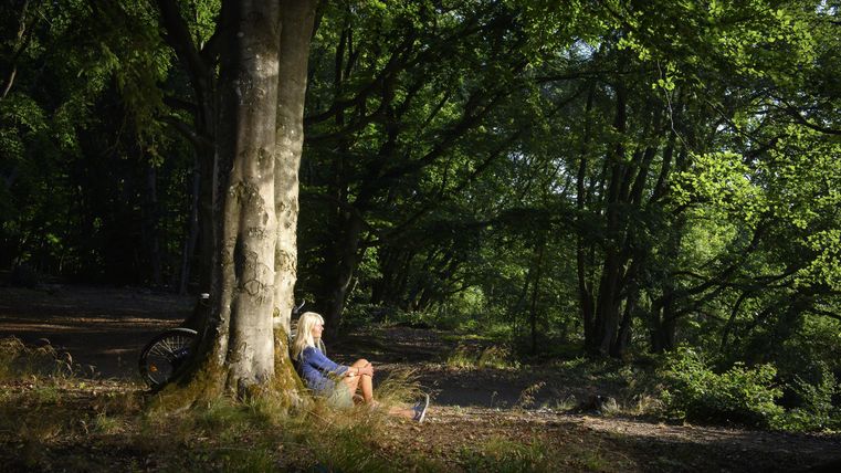 Eine Person sitzt entspannt an einem Baum im Wald. Die Umgebung ist grün und sonnig.