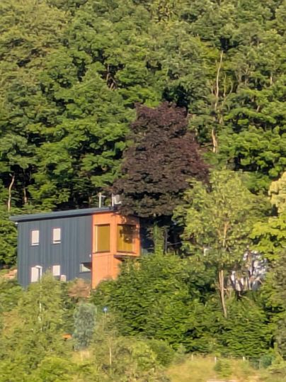 Ein modernes Haus an einem bewaldeten Hang. Umgeben von dichtem Grün und Bäumen.