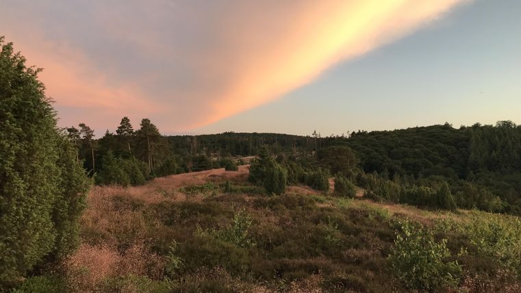Een rustige landschap met zachte heuvels en weelderige vegetatie. De lucht toont prachtige kleuren bij zonsondergang.