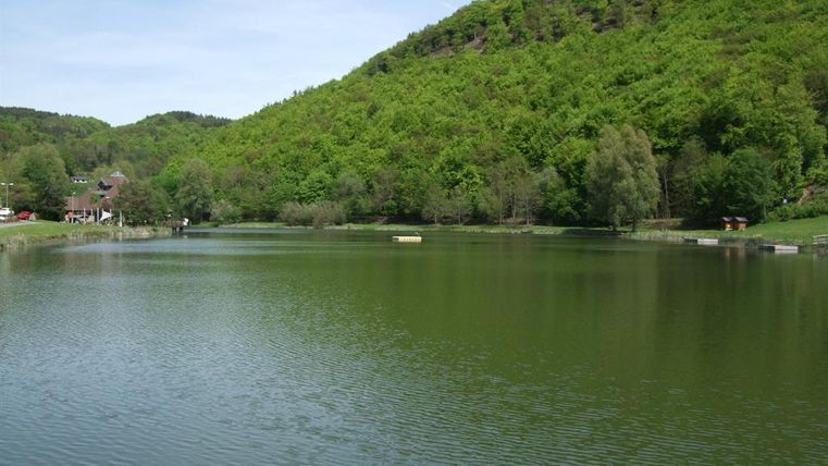 Ein ruhiger See umgeben von grünen Hügeln und Bäumen. Die Landschaft strahlt Frieden und Natürlichkeit aus.