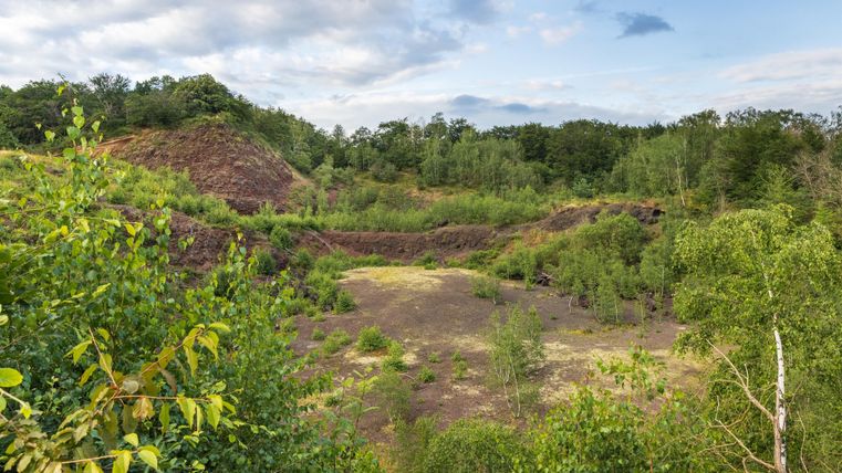 Eine bewaldete Landschaft mit sanften Hügeln und vereinzelten Pflanzen. Der Himmel ist teilweise bewölkt und gibt einen sanften Blick auf die Natur.