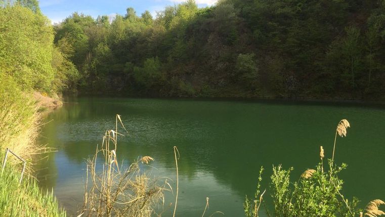 Ein ruhiger See umgeben von grüner Vegetation. Die Wassertiefe spiegelt die umliegende Natur wider.