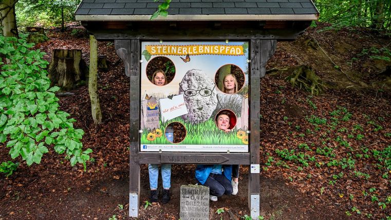 A funny wooden sign with four openings through which people can look. It is surrounded by trees and green nature.