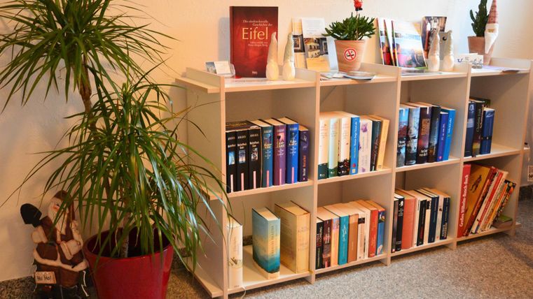 Ein Bücherregal mit verschiedenen Büchern und Pflanzen. Auf der obersten Ablage sind einige Dekorationsartikel und Zeitschriften zu sehen.