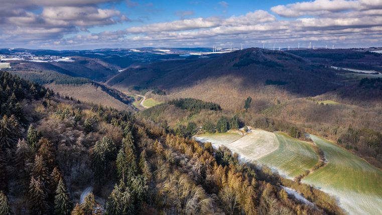 Eine malerische Landschaft mit sanften Hügeln und bewaldeten Bereichen. Im Hintergrund sind Windkraftanlagen sichtbar.
