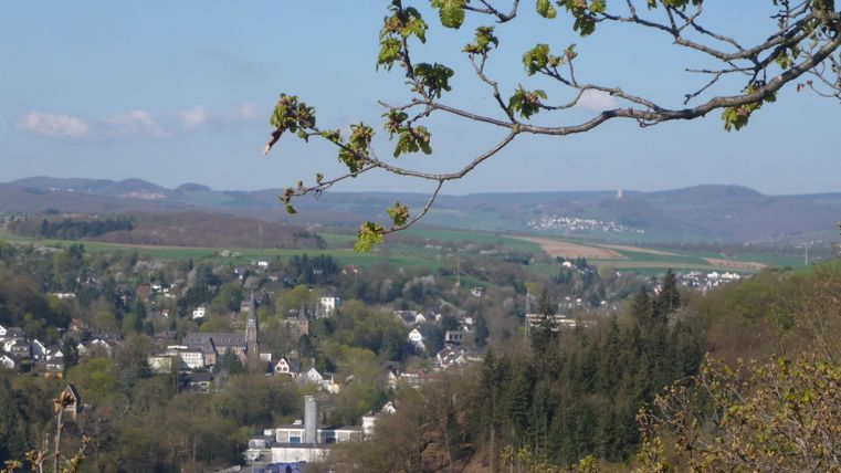 Panoramablick umgeben von Wäldern und Feldern. 