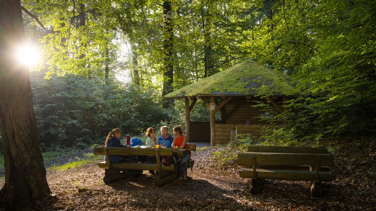Vier Personen sitzen an einem Holztisch im Wald neben einer Hütte mit Moosdach.