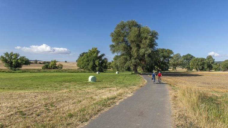 Ein schöner Weg durch eine grüne Landschaft mit Bäumen. Zwei Personen spazieren in der Sonne.