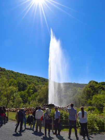 Ein Geysir sprudelt hoch in den Himmel, umgeben von grünen Hügeln. Eine Gruppe von Menschen betrachtet fasziniert das Schauspiel bei strahlend blauem Himmel. Sie finden dieses Ereignis alle circa 120 min in Andernach Namedy. Besuch nur in Kombination mit Schifftransport möglich (abgesperrtes Naturschutzgebiet).