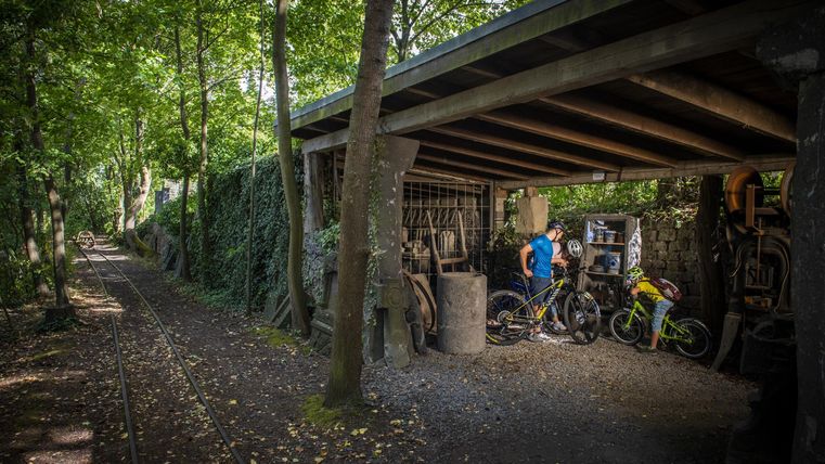 Ein schattiger Radunterstand in einem Waldgebiet. Mehrere Fahrräder sind abgestellt und der Weg führt durch die grüne Umgebung.