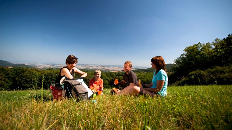Vier Personen sitzen auf einer Wiese und machen ein Picknick mit Blick auf eine hügelige Landschaft.