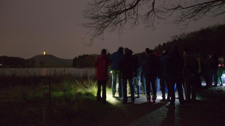 A group of people stands at the shore at night. In the background, a lit hill can be seen.