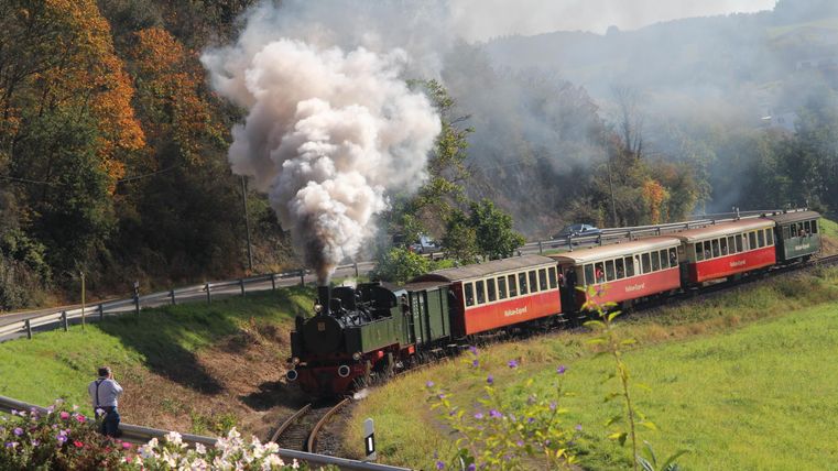 Eine dampfende Lokomotive fährt durch eine malerische Landschaft. Umgeben von Bäumen und Wiesen wird die Szenerie von herbstlichen Farben geprägt.