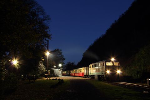 Ein Zug steht an einem Bahnhof bei Nacht, umgeben von Bäumen und Lichtern. Der Himmel ist klar und dunkelblau.
