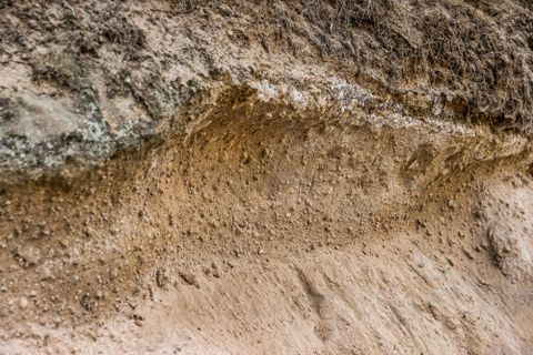 A layer of earth with visible textures and small stones. The ground is dry and has different shades of color.