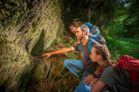 Three people look at a rock face in the forest.