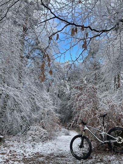 Eine verschneite Waldlandschaft mit gefrorenen Bäumen und strahlend blauem Himmel. Im Vordergrund steht ein Mountainbike auf dem weißen Boden.