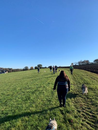 Eine Gruppe von Menschen geht mit Hunden über ein grünes Feld. Der Himmel ist klar und blau.