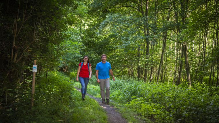 Zwei Personen wandern auf einem Waldweg im Grünen.