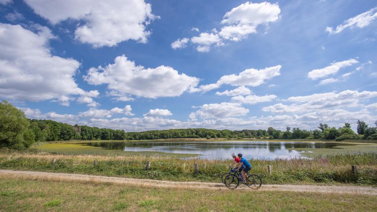 Ein Radfahrer fährt an einem ruhigen See vorbei. Der Himmel ist blau mit vielen Wolken und die Landschaft ist grün und einladend.