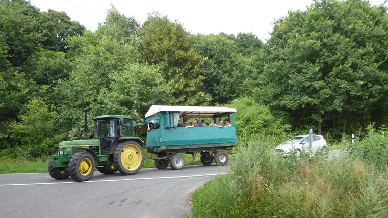 Ein Traktor zieht einen überdachten Wagen mit Passagieren auf einer Landstraße. Im Hintergrund sind Bäume und grüne Wiesen zu sehen.