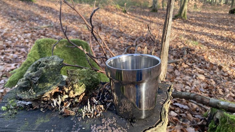 Ein Edelstahlbecher steht auf einem Baumstumpf im Wald. Der Boden ist mit herbstlichem Laub bedeckt und im Hintergrund sind weitere Bäume sichtbar.