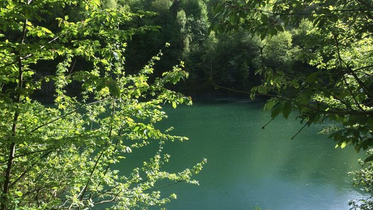 Ein ruhiger See umgeben von grünen Bäumen. Die Wasseroberfläche spiegelt das Licht und die Natur wider.