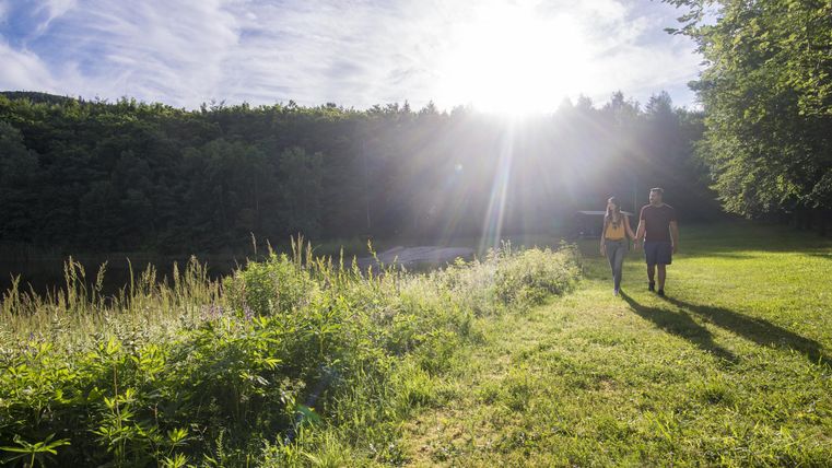 Zwei Personen spazieren auf einer Wiese in der Nähe eines Gewässers. Die Sonne strahlt hell über der Landschaft.