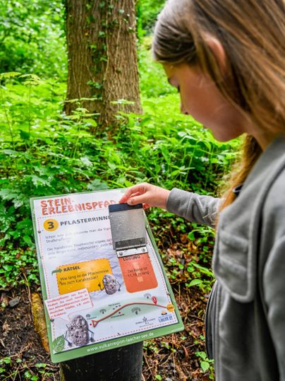 A person stands in a forest and looks at an information sign. The sign contains information about plants and their significance.