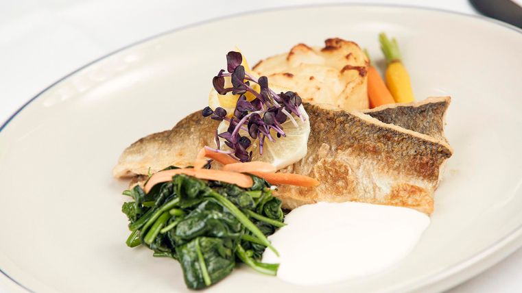 Ein schön angerichteter Teller mit gebratenem Fisch, grünem Blattgemüse und buntem Gemüse. Die Garnitur mit Kräutern verleiht dem Gericht eine frische Note.
